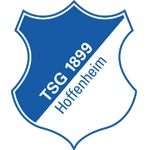 TSG Hoffenheim crest